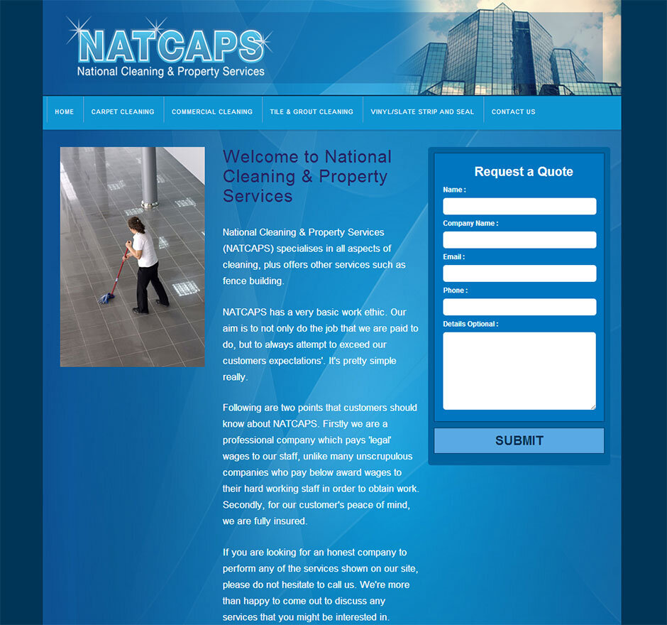 cleaning-website-design